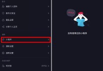 抖音小程序回归