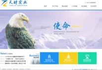 河南天财实业有限公司网站正式上线